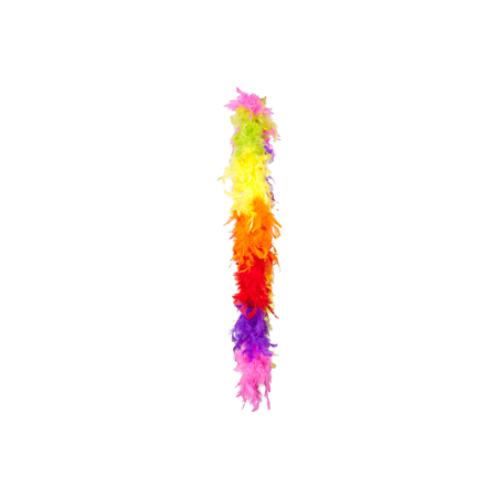Boa multicolore plumes - Long. 275cm