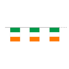 Guirlande drapeaux Irlande 10 fanions 21 x 30cm - papier Long. 420cm