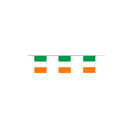Guirlande drapeaux Irlande 10 fanions 21 x 30cm - papier Long. 420cm