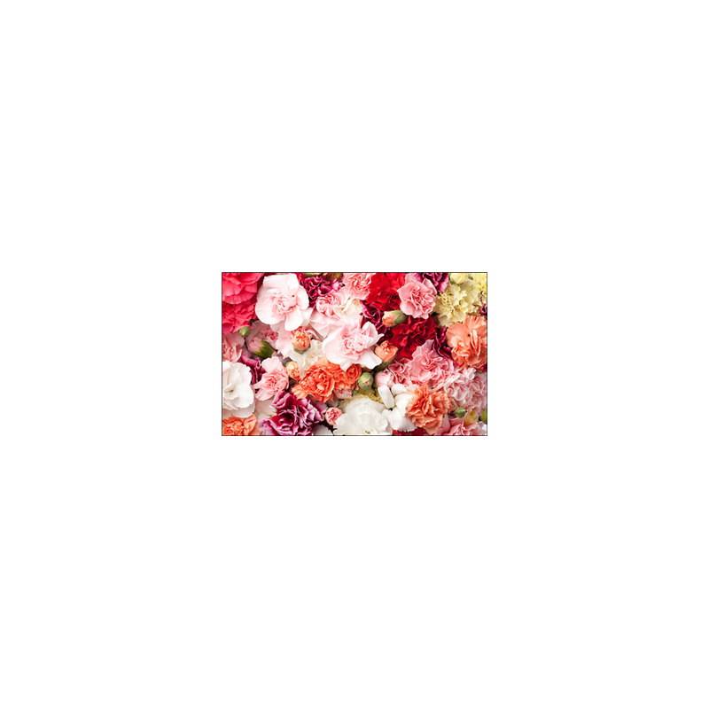 Visuel imprimé Rose Fleurs - 40 x 30cm sur support bristol 350 gr