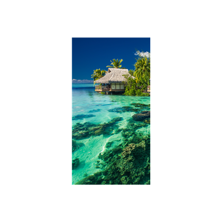 Kakemono Cabane pilotis - 180 x 80 cm - Toile M1 avec structure X- Banner