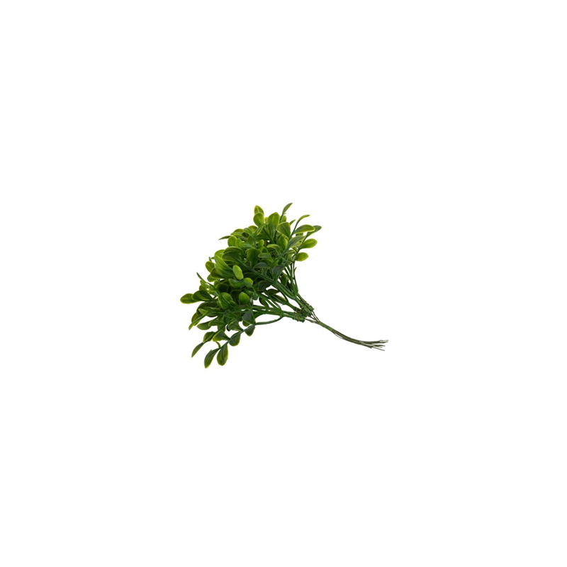 6 mini branches de Basilic vert sur tige - Haut. 15cm