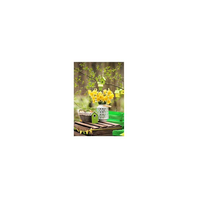 Visuel Jonquilles- PVC - 30 x 20 cm