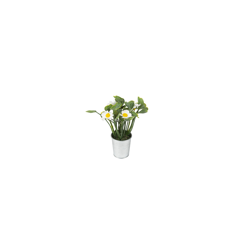 Pot de marguerites et feuilles 5 x 17cm