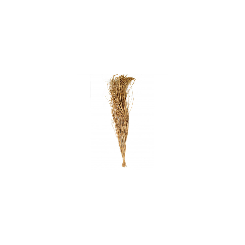 Bouquet de Raphia de bambou 250g - Haut. 100cm