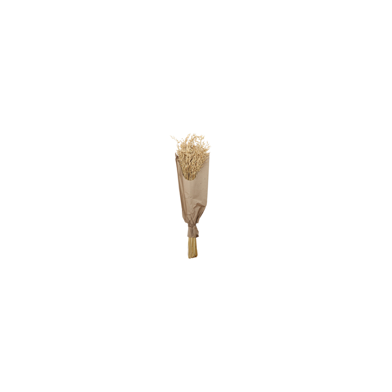 Bouquet d'épis d'avoine naturel hauteur 70 cm (100 gr)