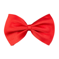 Noeud papillon rouge