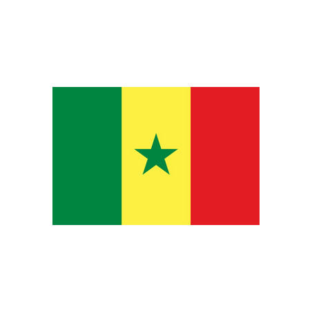 Drapeau Sénégal - tissu - 60 x 90cm