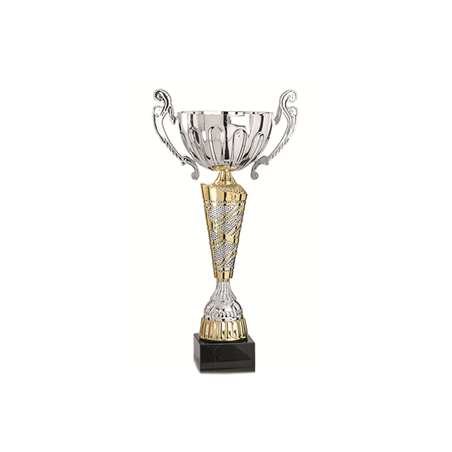 Coupe des champions or et argent - Haut. 37 cm