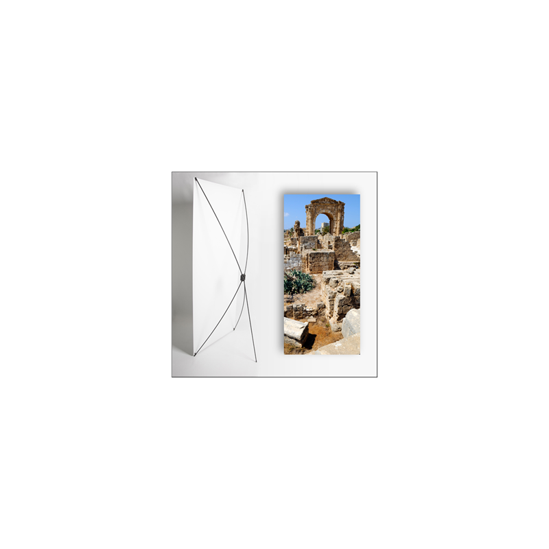 Kakemono Oriental Ruines 80 x 180 - Toile M1 / avec structure X Banner