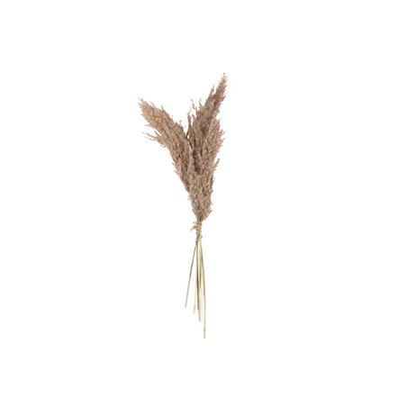Bouquet de Plumeaux naturels et paillette argent - Haut. 60cm