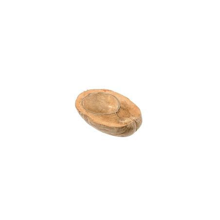 Demie noix de coco 18 x 16 x 7 cm
