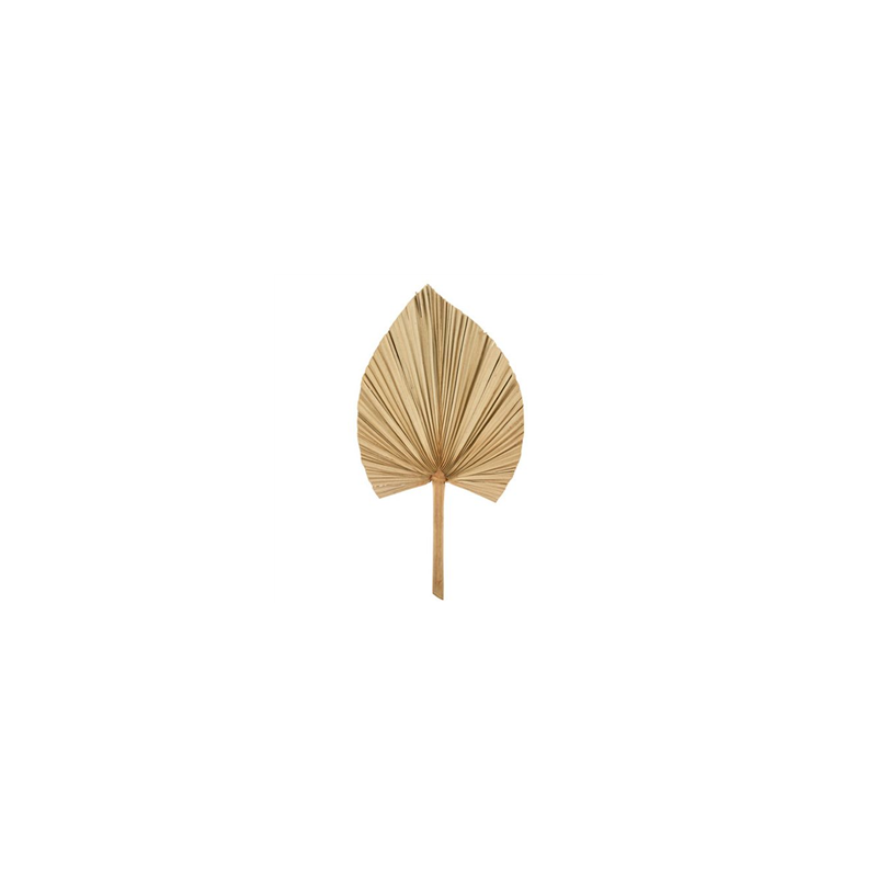 Feuille de palmier séchée naturelle éventail 64 x 34cm