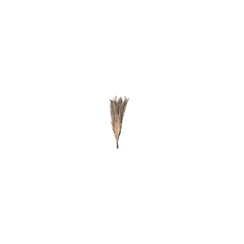 Bouquet de 9 feuilles de dattier naturelles 100cm
