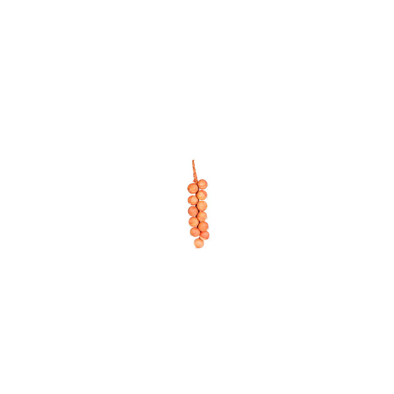 Oignons - tresse - polystyrène/paille - Long. 48cm