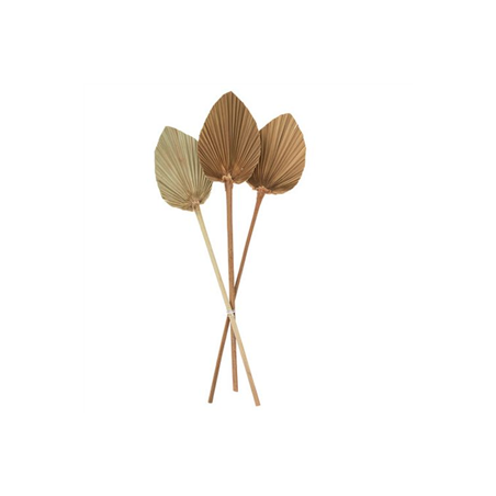 3 Feuilles de Palmier Séchées Naturelles 50 x 11 cm