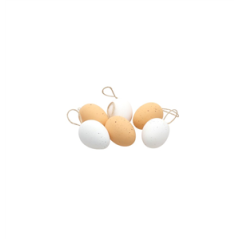 6 Œufs couleur blanc et naturel 6 x 4cm