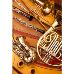 Visuel imprimé Musique Jazz - 40 x 30 cm sur support bristol 350 gr