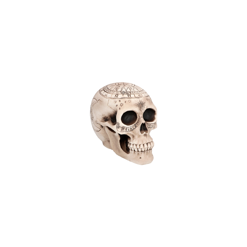 Tête de mort astronomy plastique 14 x 20cm