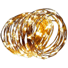 Guirlande Micro LED fil cuivre 20 LEDs Blanc Chaud avec timer - Long. 2 m