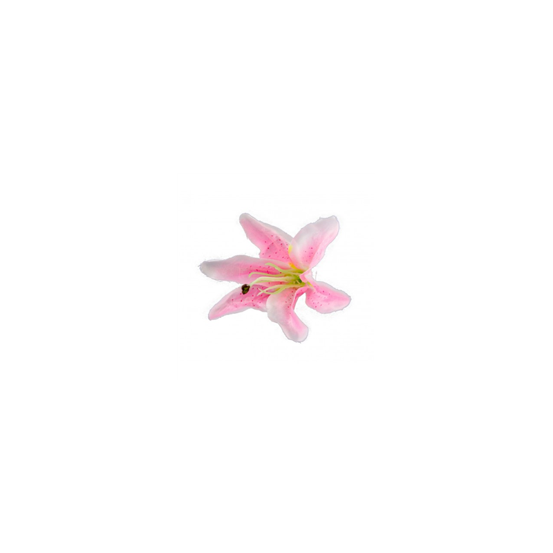 Sachet de 6 Fleurs tropicale rose fluo 13 x 12cm