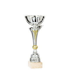 Coupe des champions - Haut. 18cm (modèle aléatoire)