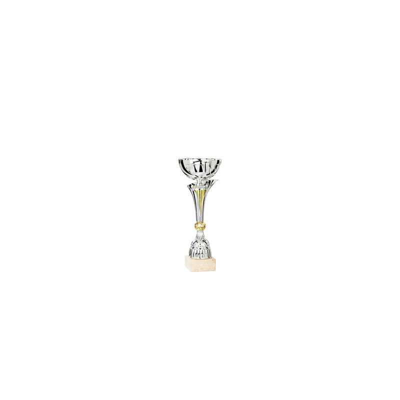 Coupe des champions - Haut. 18cm (modèle aléatoire)