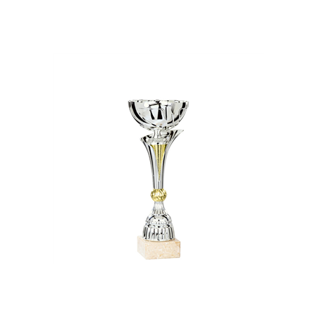Coupe des champions - Haut. 18cm (modèle aléatoire)