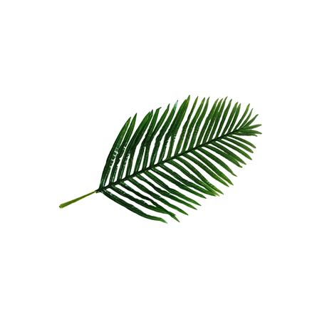 Feuille de palmier majestueux artificiel - 75 x 40 cm
