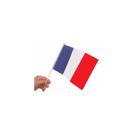 Drapeaux 20 x 30 bleu blanc rouge x 10 sur hampe de 50 cm - papier