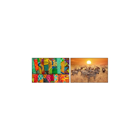 Mobiles Afrique x2 - carton - 27 x 49cm