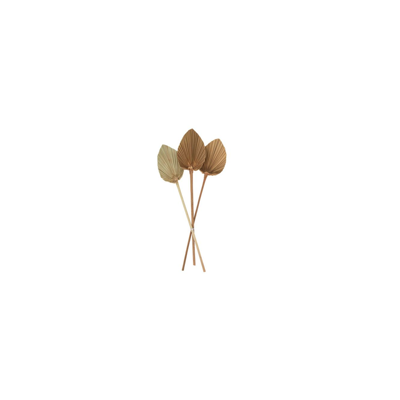 3 Feuilles de Palmier Séchées Naturelles 50 x 11 cm