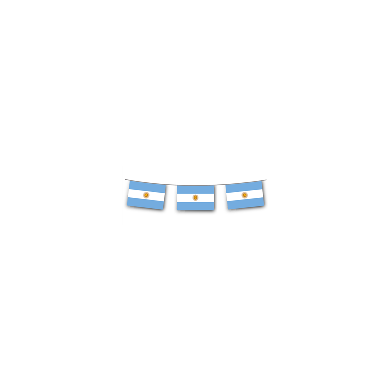 Guirlande drapeaux Argentine 10 fanions 20 x 30cm - papier Long. 520cm