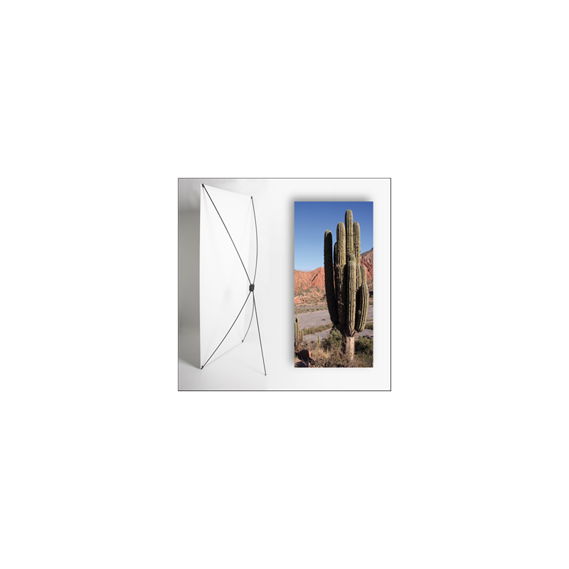 Kakemono AMS Cactus - 180 x 80 cm - Toile M1 avec structure X- Banner