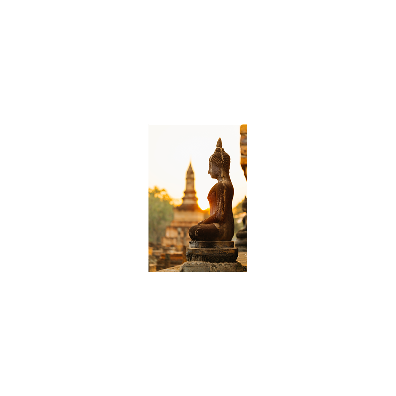 Kakemono Thailande Bouddha - 180 x 80 cm - Toile M1 avec structure X- Banner