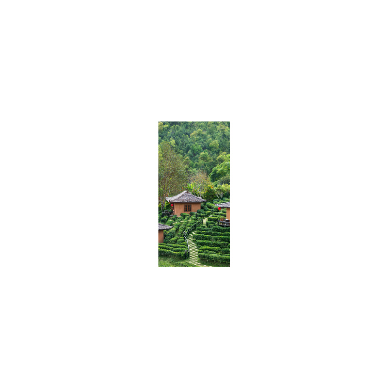 Kakemono Village rizière  - 180 x 80 cm - Toile M1 avec structure X- Banner