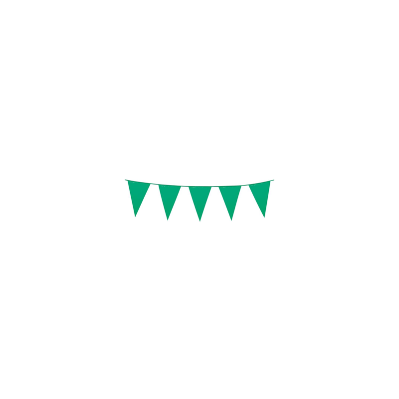 Guirlande de fanions verts 30 x 20cm - plastique Long. 10m