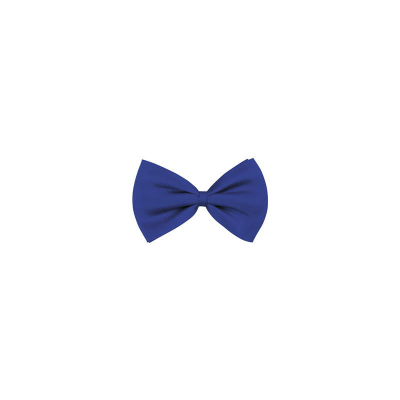 Nœud papillon bleu en tissu