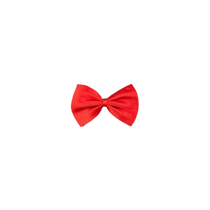 Noeud papillon rouge