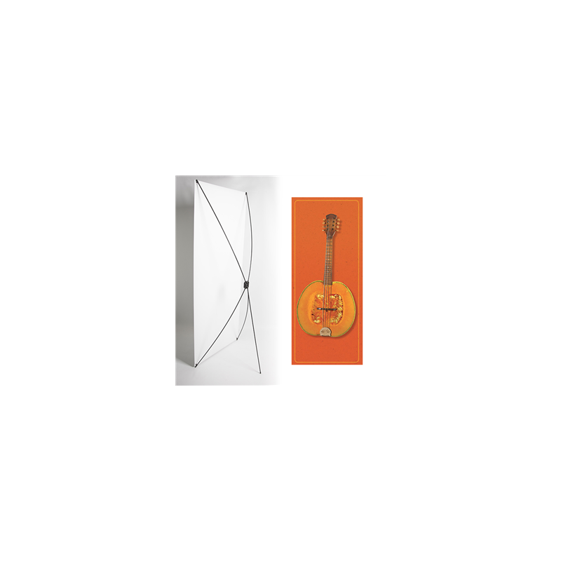 Kakemono mandoline orange- 180 x 80 cm - Toile M1 avec structure  X- Banner