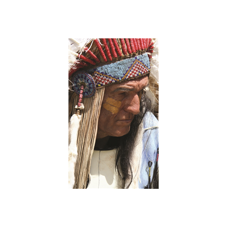 Kakemono Chef indien - 180 x 80 cm - Toile M1 avec structure X- Banner
