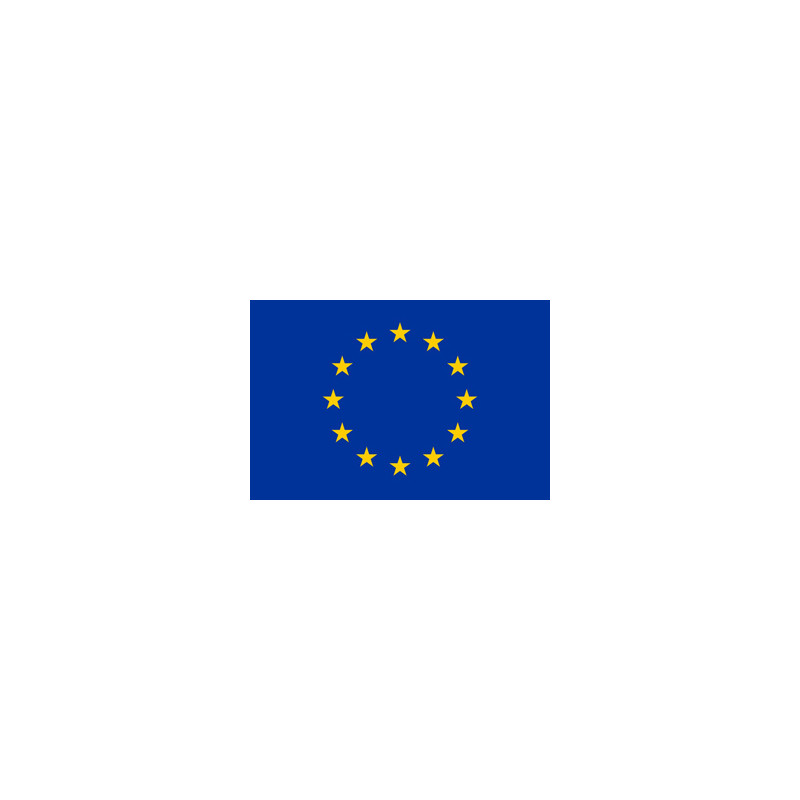 Drapeau CEE - tissu - 90 x 150cm