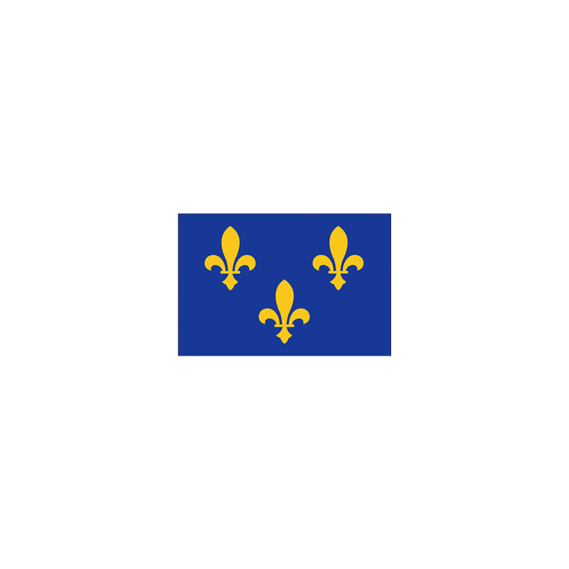 Drapeau Ile de France - tissu - 60 x 90cm