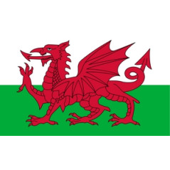 Drapeau Pays de Galles - tissu - 60 x 90cm