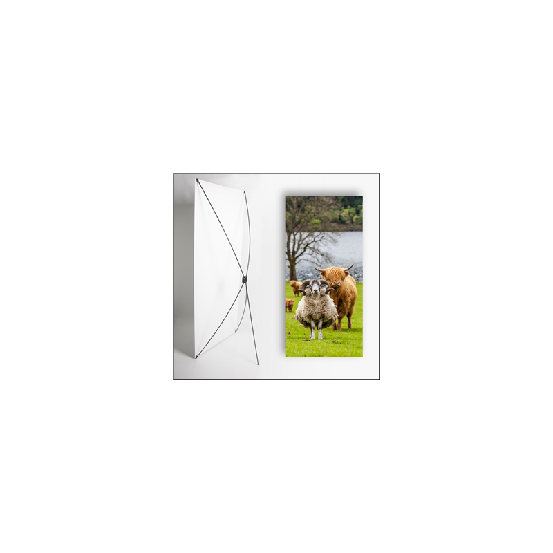 Kakemono Ecosse Belier - 180 x 80 cm - Toile M1 avec structure  X- Banner