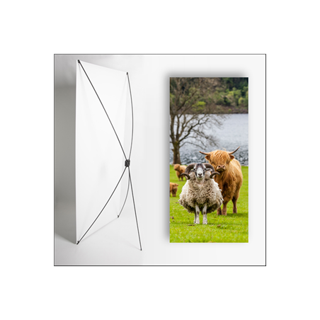 Kakemono Ecosse Belier - 180 x 80 cm - Toile M1 avec structure  X- Banner