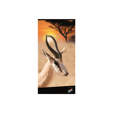 Kakemono Afrique du sud Antilope 180 x 80cm - Toile M1 avec structure X- Banner