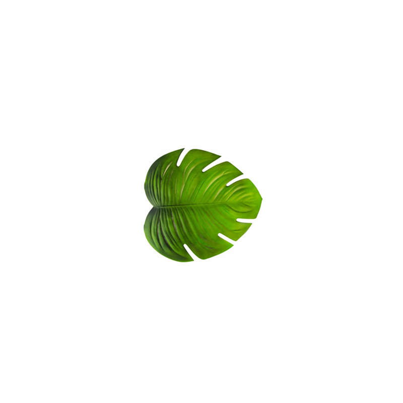 Feuille Monstera 47x 42 cm