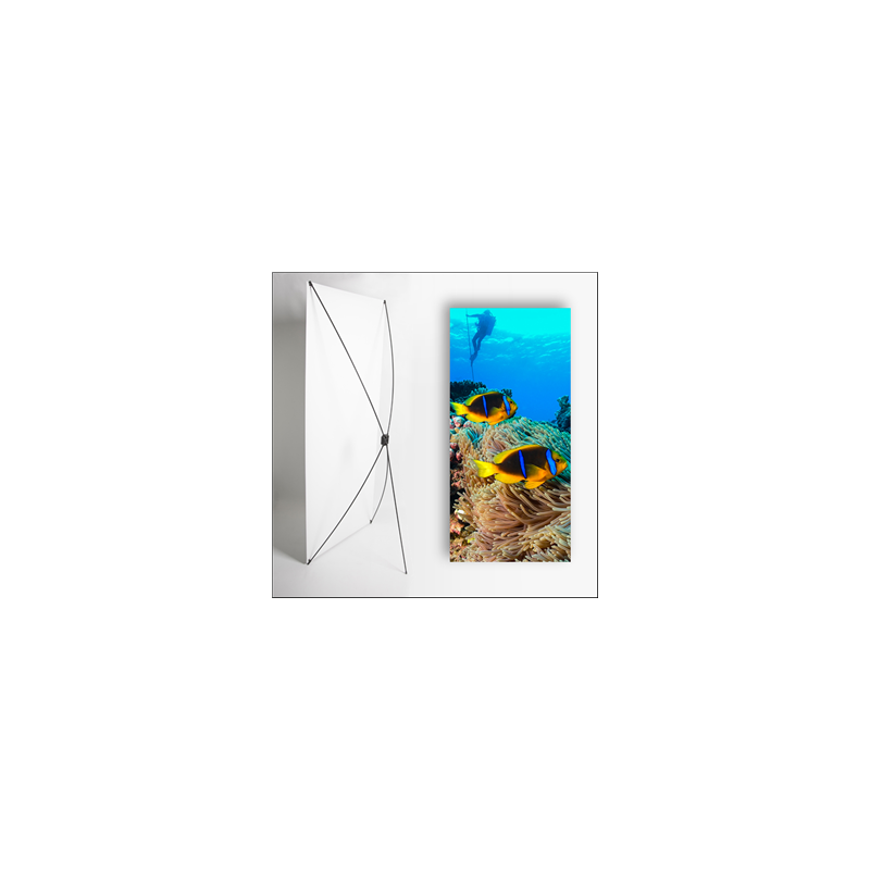 Kakemono Exotique poisson - 180 x 80 cm sur Toile M1 avec structure  X- Banner