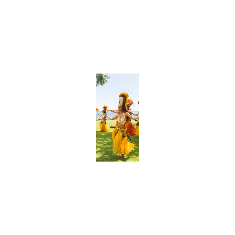 Kakemono Danseuse Polynésie - 180 x 80 cm - Toile M1 avec structure X- Banner